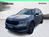 Skoda Kamiq kuehbach