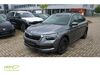 Skoda Kamiq sanne-kerkuhn
