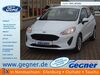 Ford Fiesta schoena-kolpien