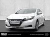 Nissan Leaf walhausen