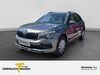 Skoda Kamiq hoehr-grenzhausen
