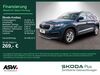 Skoda Kodiaq ockenheim