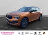 Skoda Kamiq roedelhausen