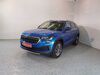 Skoda Kodiaq roehrig