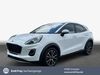Ford Puma schoena-kolpien