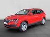 Skoda Karoq meinborn