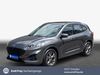Ford Kuga schoena-kolpien