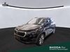 Skoda Karoq bueddenstedt