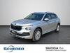Skoda Kamiq undenheim