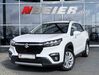 Suzuki (SX4) S-Cross muehlstedt