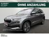 Skoda Karoq dinslaken