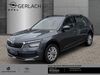 Skoda Kamiq meinborn