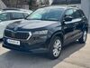 Skoda Karoq kuehbach