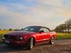 Ford Mustang bueddenstedt