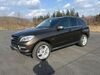 Mercedes-Benz ML 350 schwallungen
