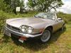 Jaguar XJS bl|nordrhein-westfalen