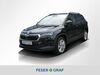 Skoda Karoq geisenfeld