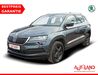 Skoda Karoq schoenburg