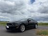 Ford Mustang schoena-kolpien
