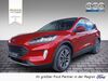 Ford Kuga dankmarshausen