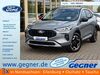 Ford Kuga hohenweiden