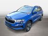 Skoda Karoq ober-hilbersheim