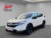Honda CR-V wunstorf