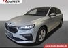 Skoda Scala kreis|suedliche-weinstrasse