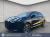 Ford Puma kreis|suedliche-weinstrasse