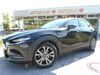 Mazda CX-3 kuehbach