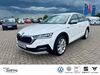Skoda Octavia linsburg
