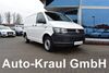 VW T6 Transporter picher