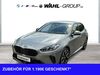 BMW 120 nieder-hilbersheim