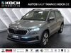 Skoda Karoq schoena-kolpien