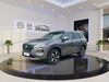 Nissan X-Trail Wennigsen (Deister)
