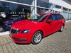 Skoda Octavia bolschwitz