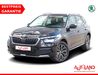 Skoda Kamiq schoena-kolpien