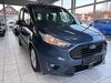 Ford Tourneo Connect hottelstedt