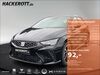 Seat Ibiza hann