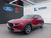 Mazda CX-30 oberrossbach