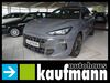 Cupra Terramar krauchenwies