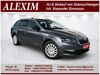 Skoda Octavia juetrichau