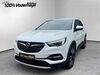 Opel Grandland (X) tegernsee