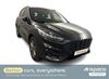 Ford Kuga gruenewald