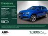 Skoda Karoq kreis|rheingau-taunus-kreis
