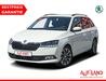 Skoda Fabia kreis|suedliche-weinstrasse