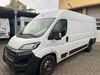 Fiat Ducato nieder-hilbersheim