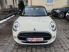Mini Cooper D woelferbuett