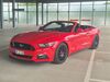 Ford Mustang Büddenstedt