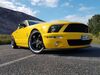 Ford Mustang bueddenstedt